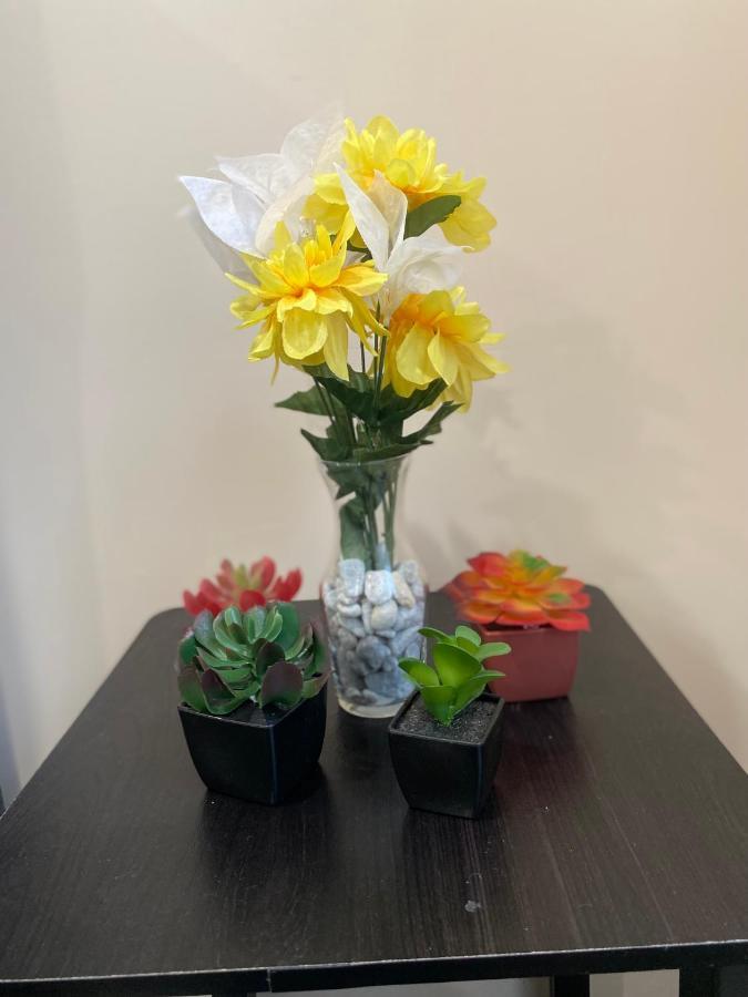 Private Room In South Philly Near Arenas! Φιλαδέλφεια Εξωτερικό φωτογραφία