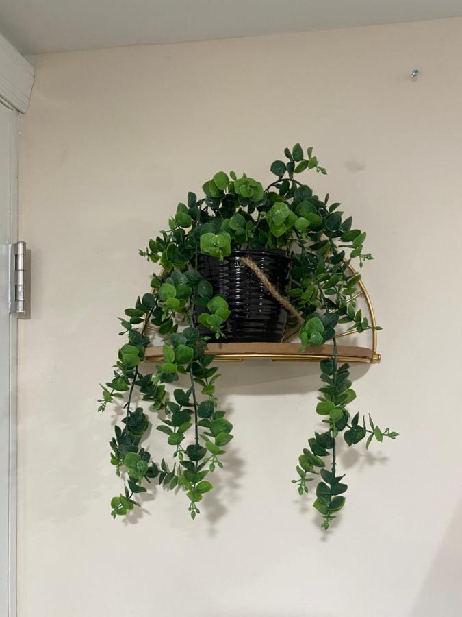 Private Room In South Philly Near Arenas! Φιλαδέλφεια Εξωτερικό φωτογραφία